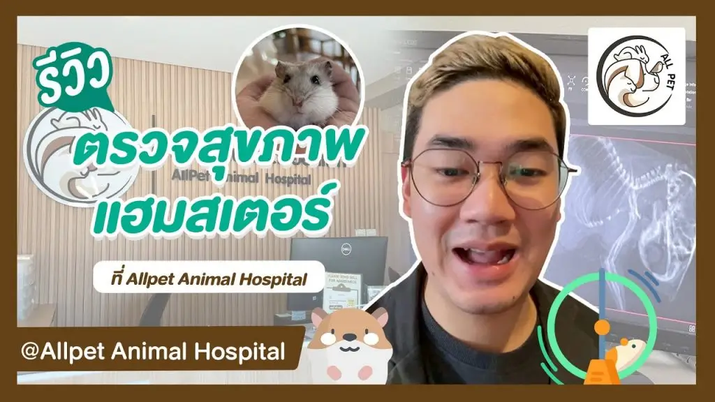 รีวิว ตรวจสุขภาพแฮมสเตอร์ ที่ Allpet Animal Hospital ตรวจสุขภาพ Excotix Pet