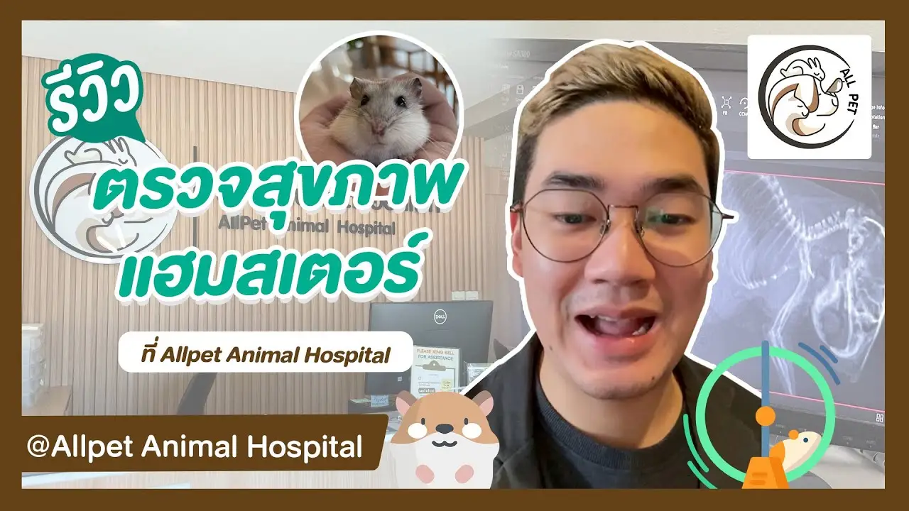 รีวิว ตรวจสุขภาพแฮมสเตอร์ ที่ Allpet Animal Hospital ตรวจสุขภาพ Excotix Pet