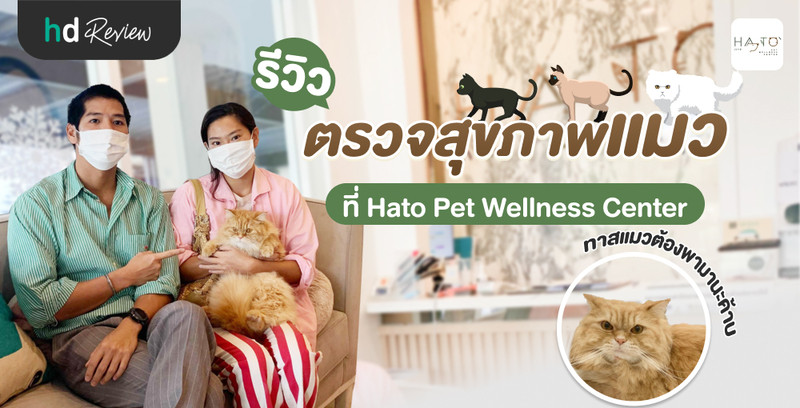 รีวิว ตรวจสุขภาพแมว ที่ Hato Pet Wellness Clinic