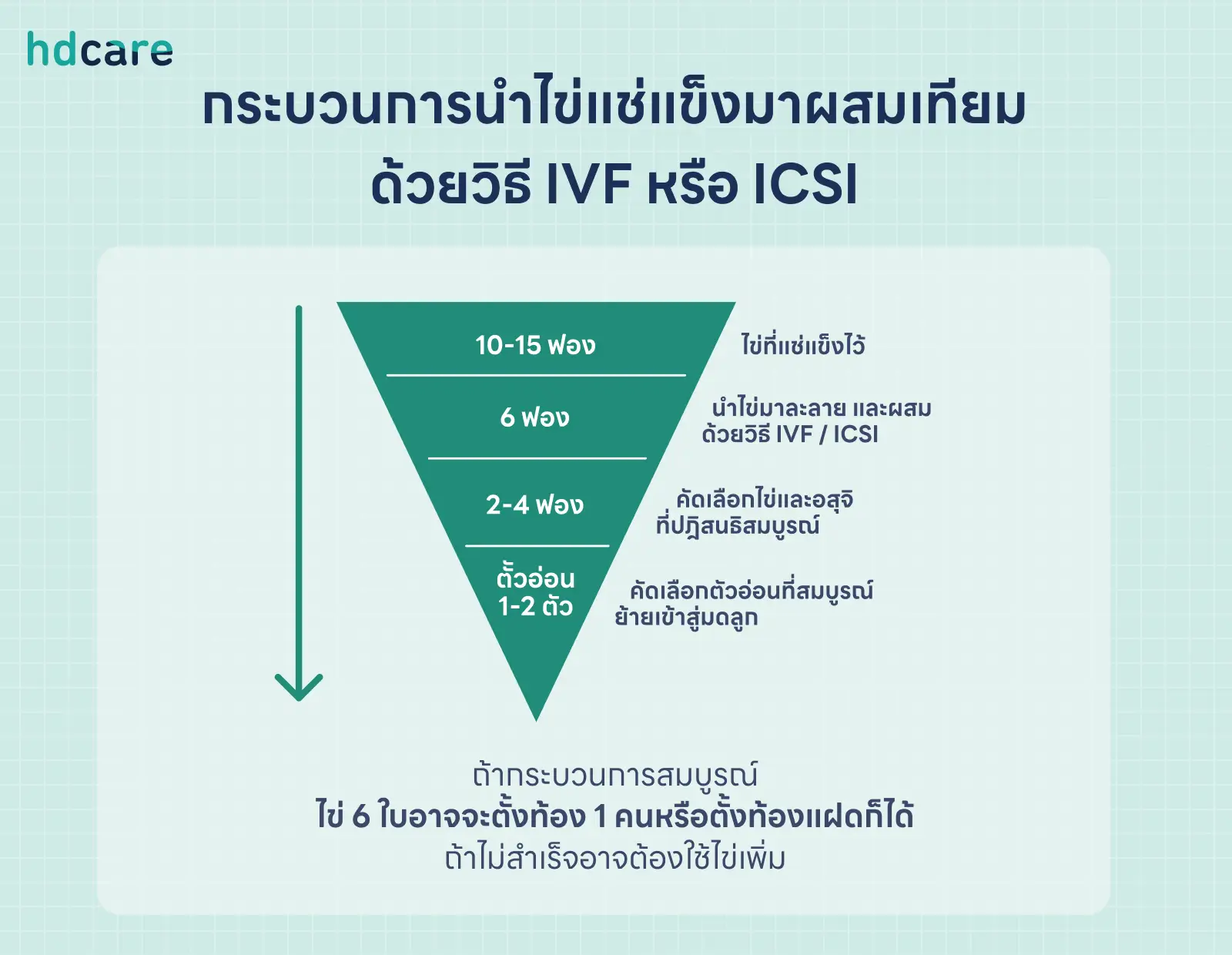 รวมทุกอย่างที่ต้องรู้เกี่ยวกับการฝากไข่ อายุมากก็มีลูกได้ ไม่รีบฝากระวังไข่เสื่อม