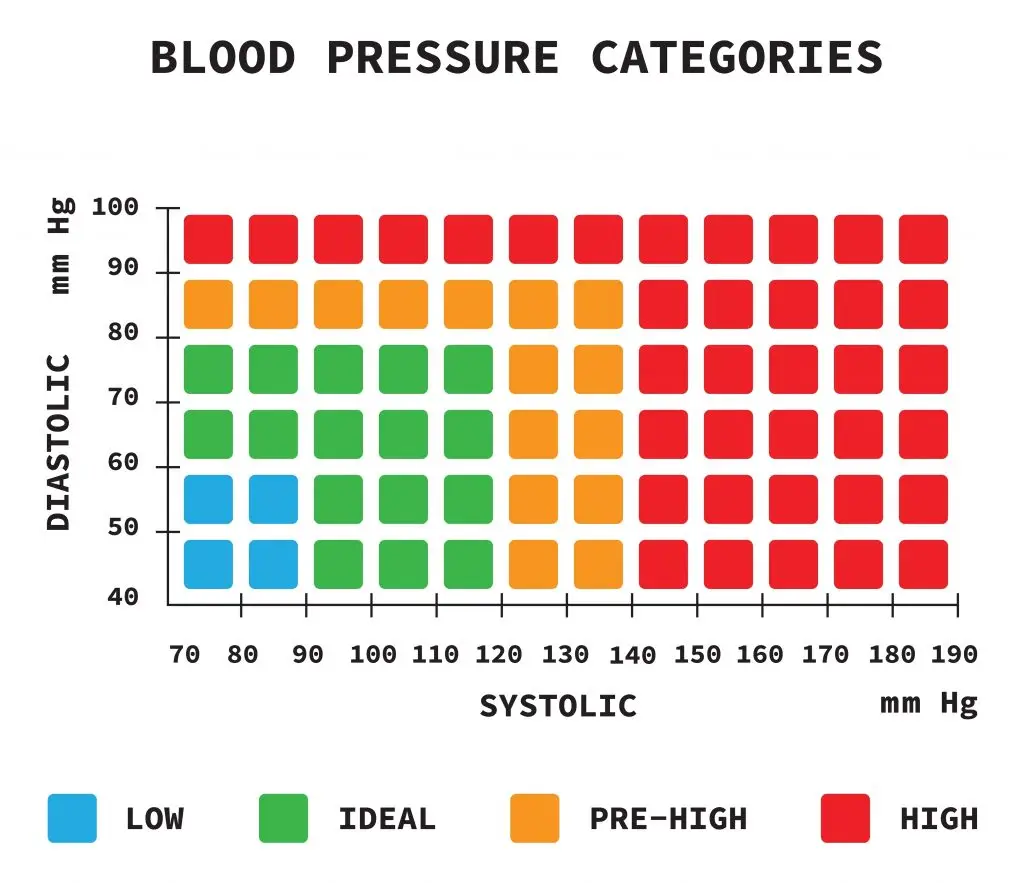 ภาวะความดันโลหิตต่ำ (Low Blood Pressure, Hypotension)