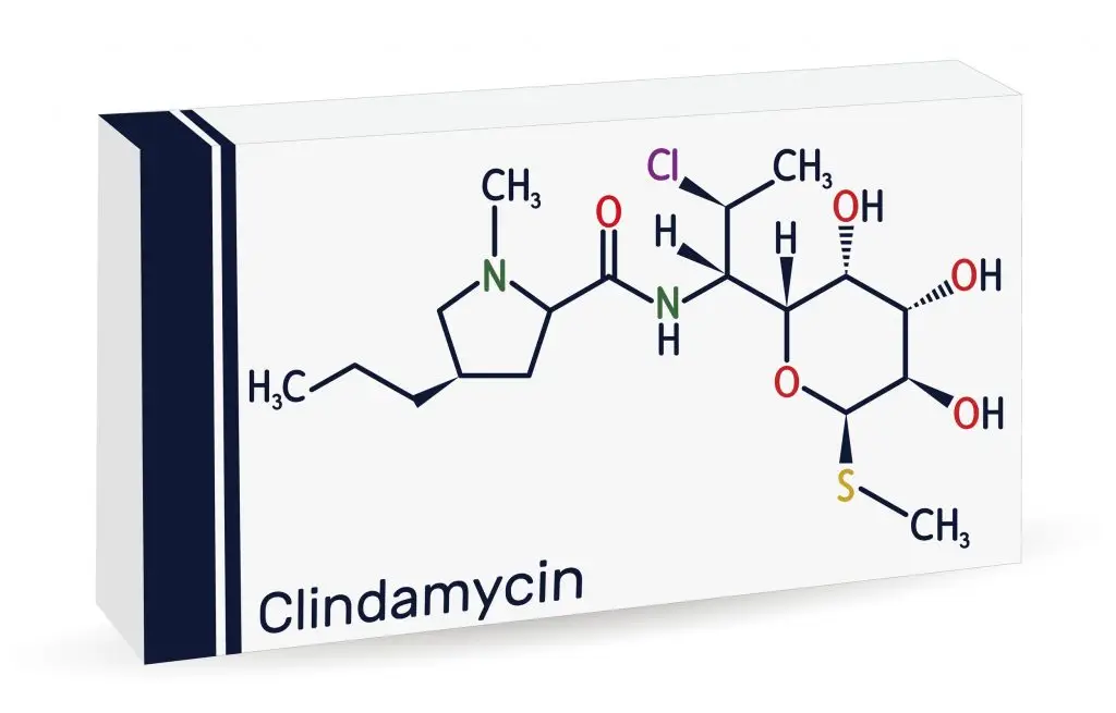 Clindamycin (คลินดาไมซิน)