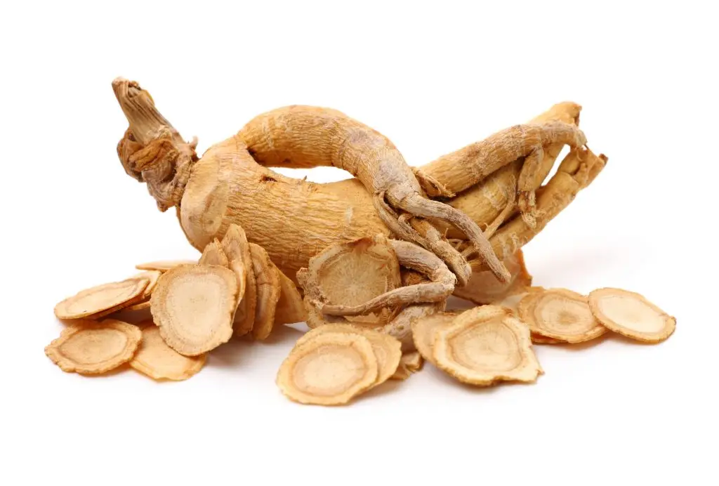 ginseng