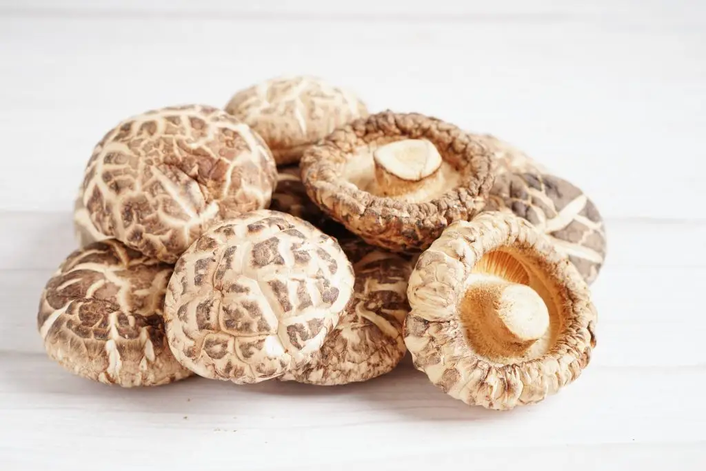 เห็ดหอม (Shiitake Mushroom)