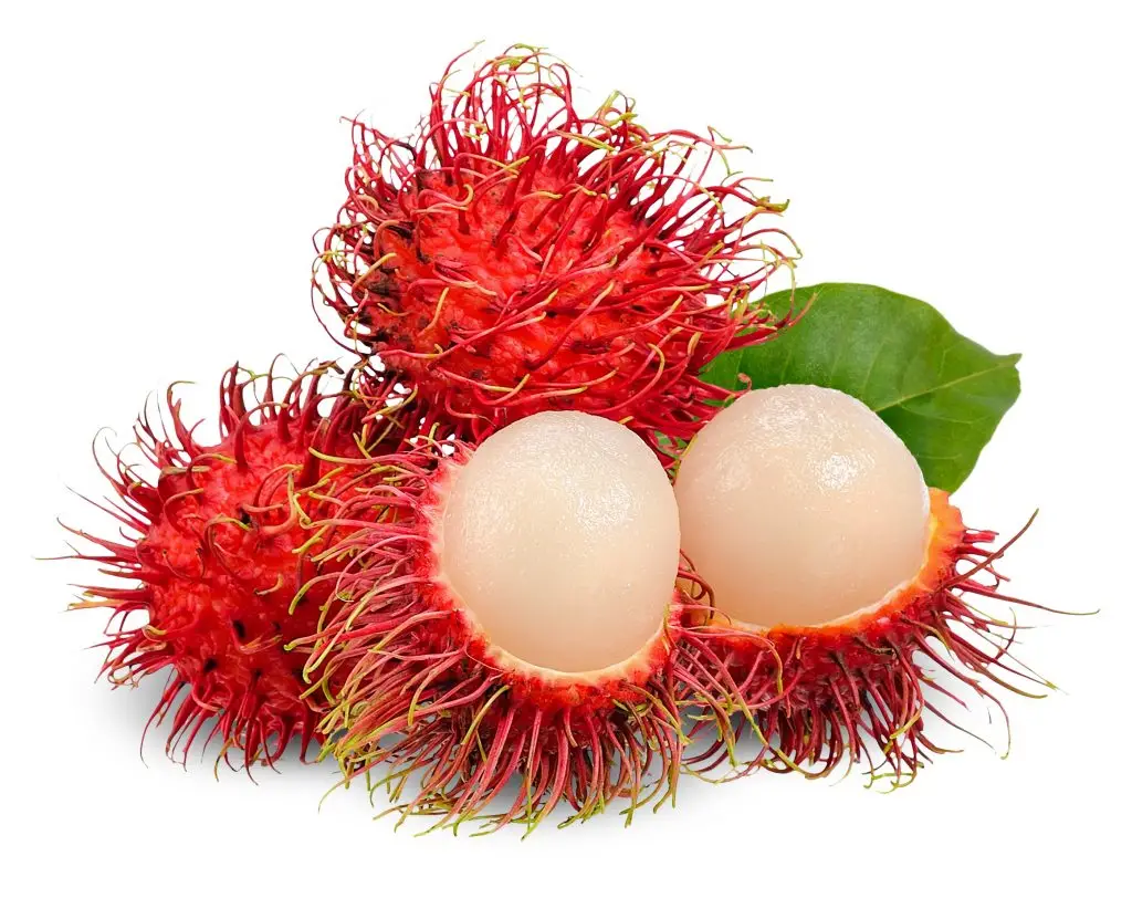 เงาะ (Rambutan)