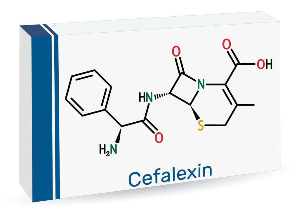 cephalexin