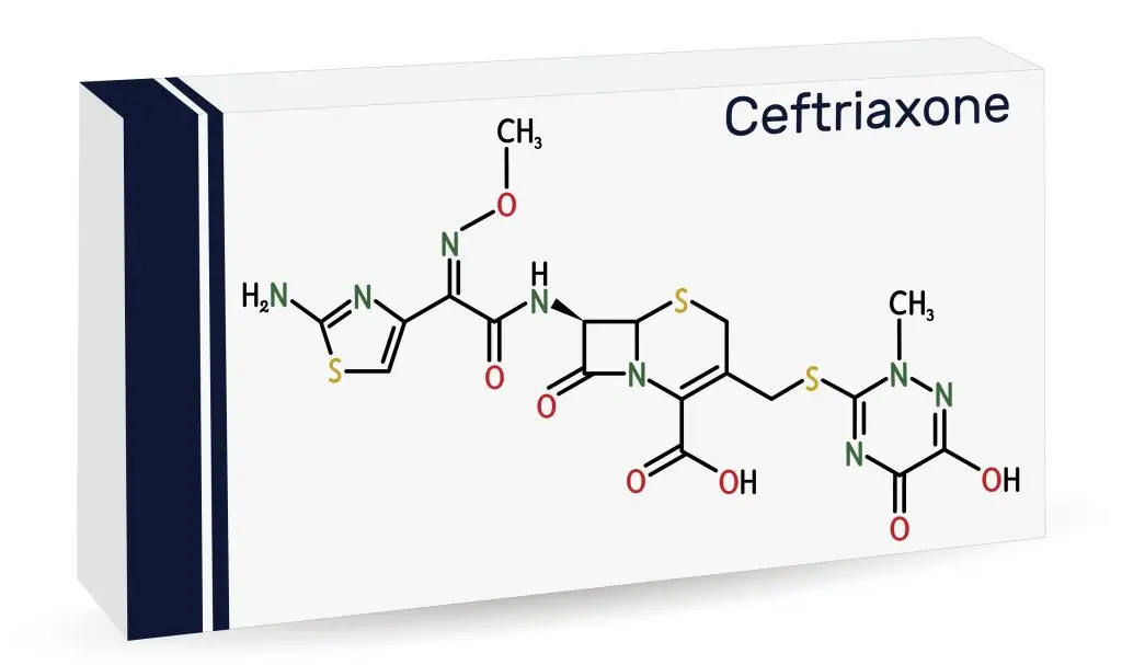 Ceftriaxone (เซฟไตรอะโซน)