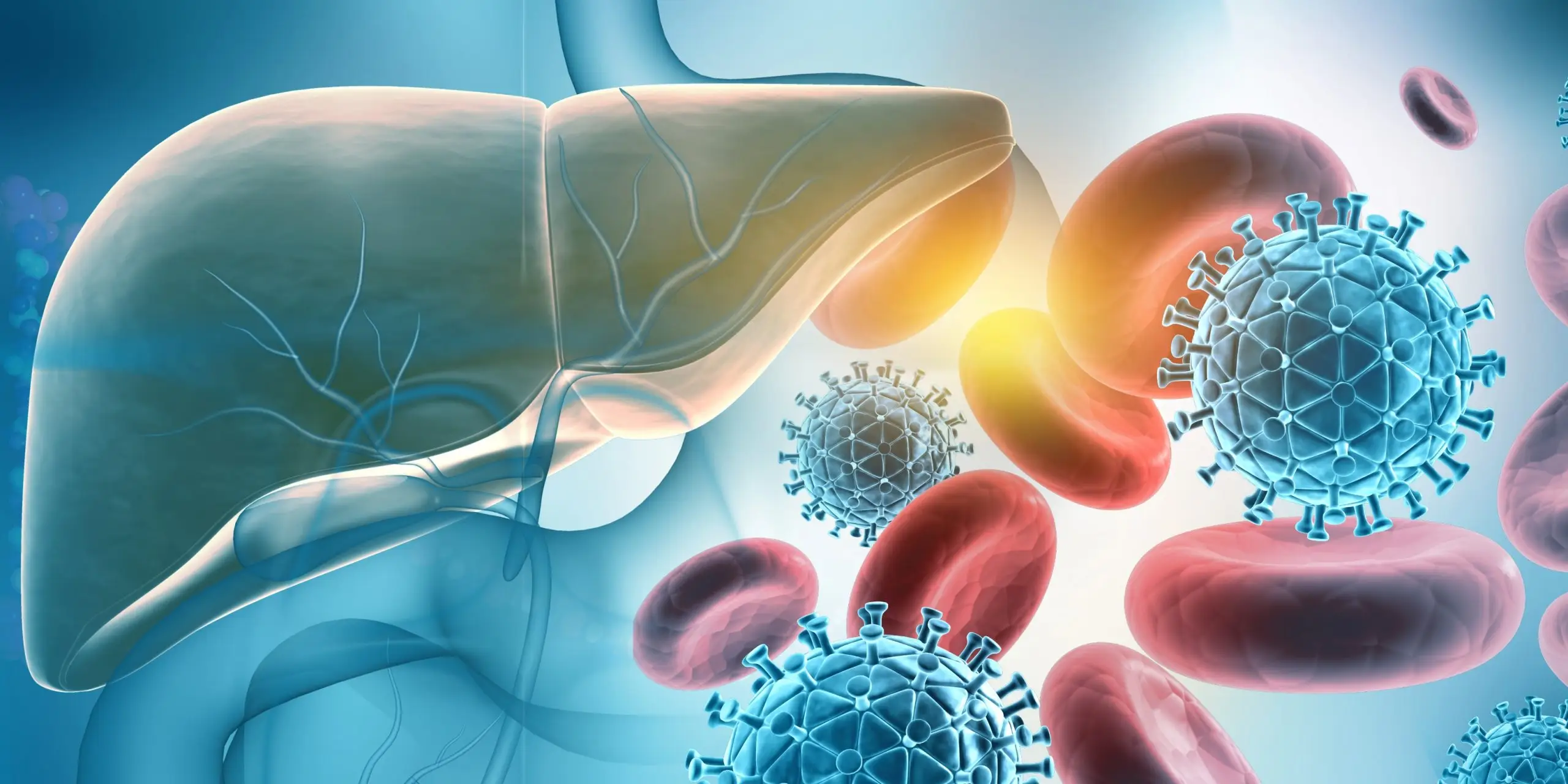 hepatitis b 2 scaled