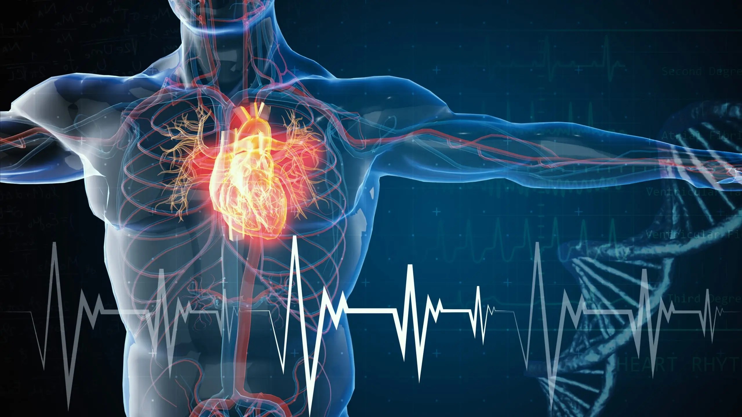 cardiovascular disease definition scaled