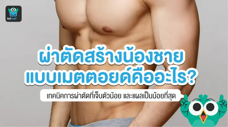 เทคนิคเมตตอยด์