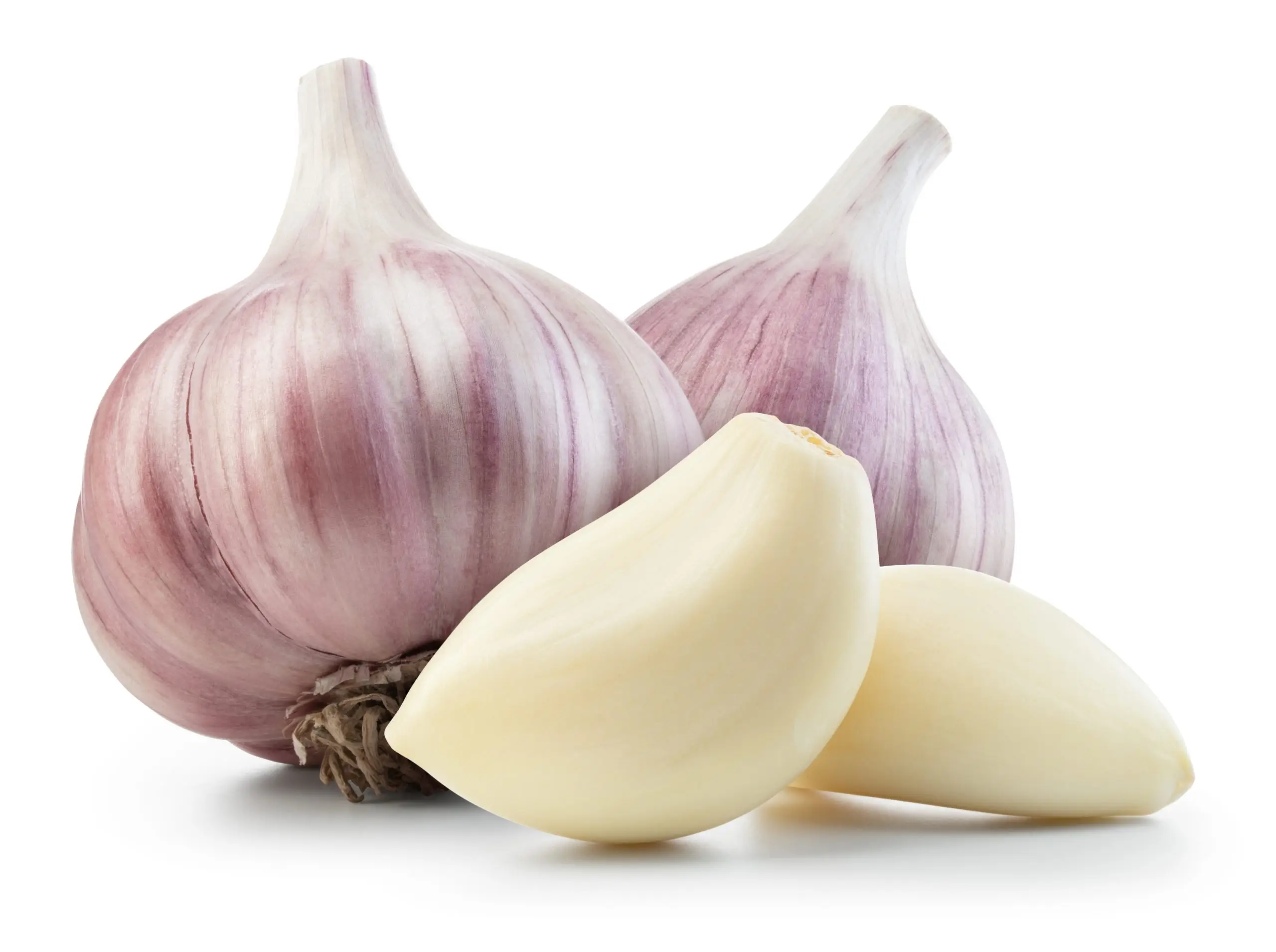 garlic scaled