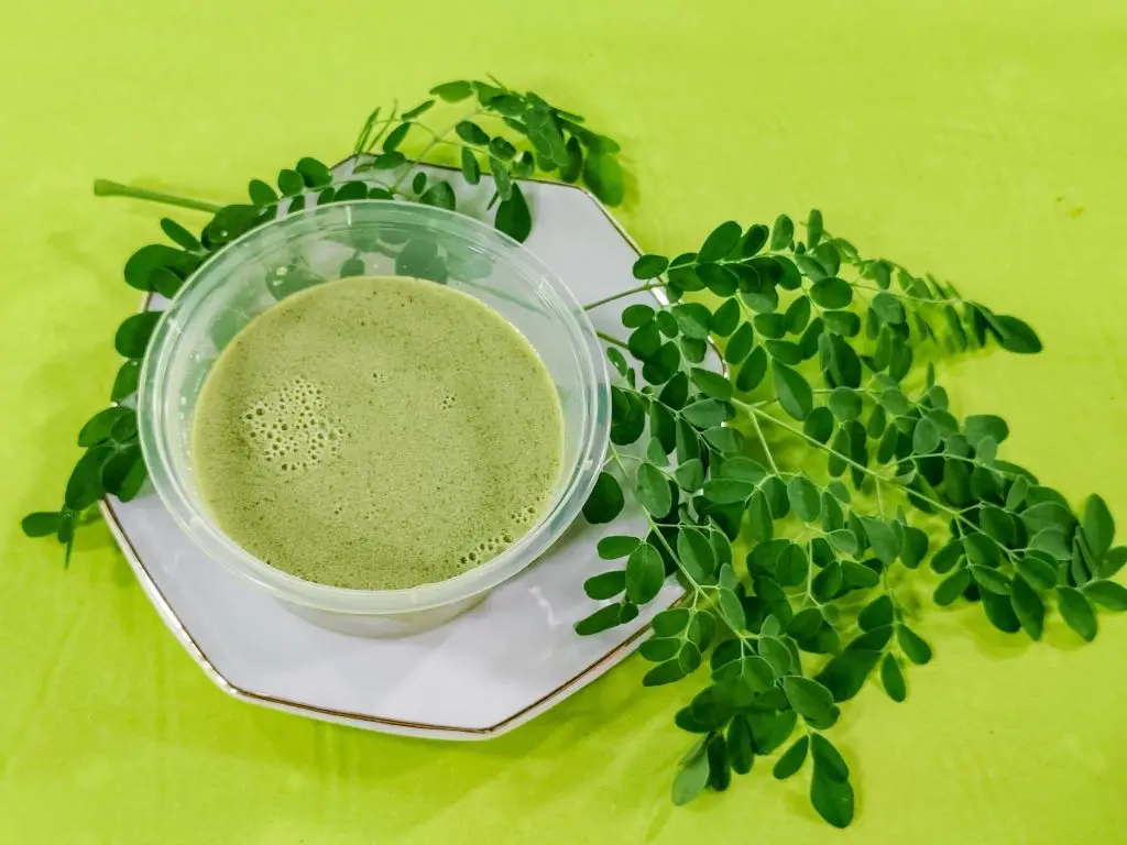 มะรุม (Moringa)