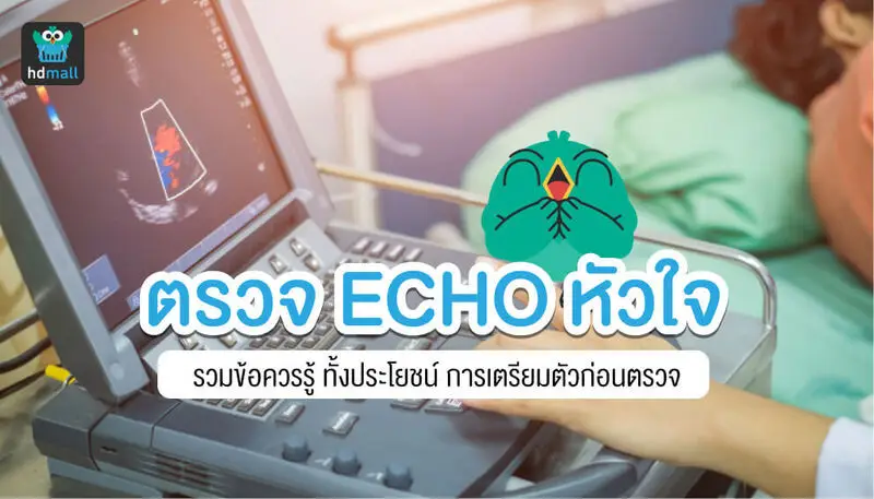 ตรวจ ECHO หัวใจ