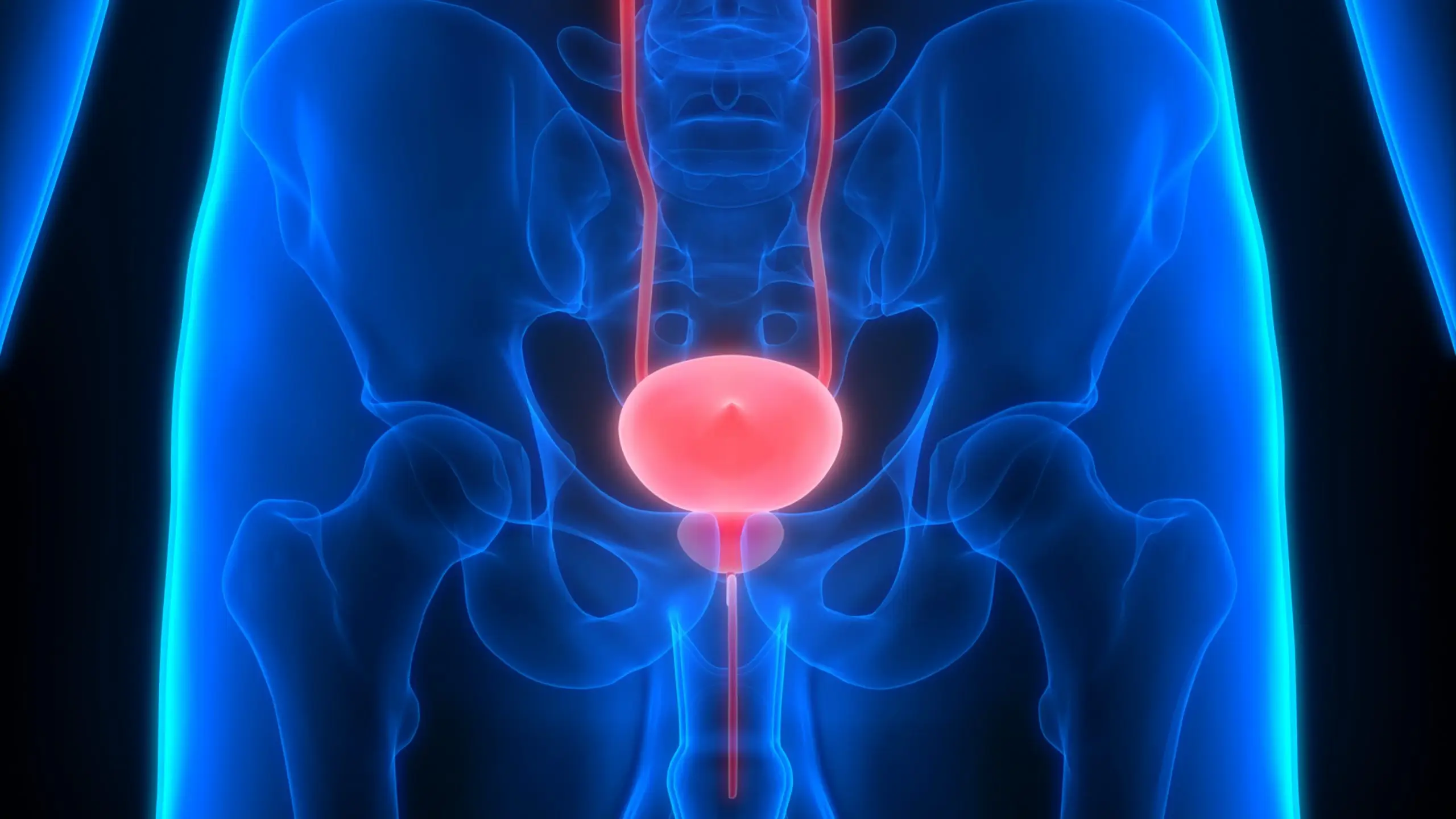 prostate disease definition scaled