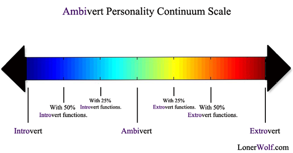 Ambivert Scale