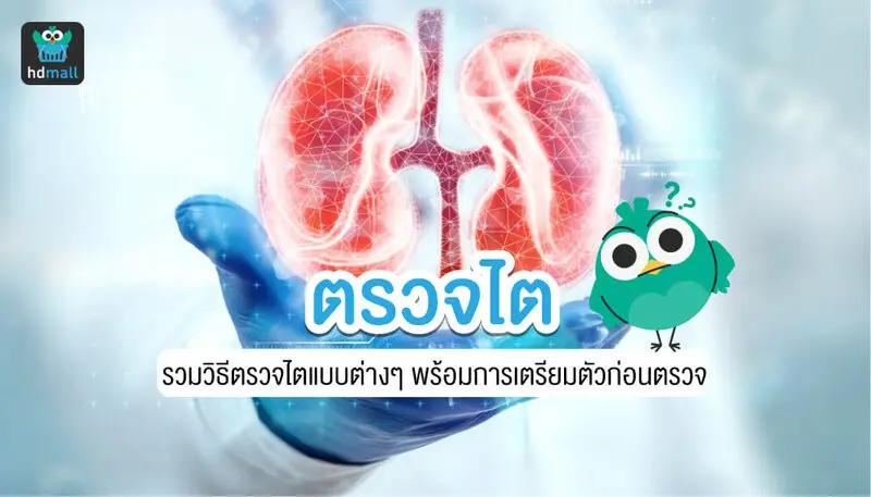 ตรวจไต สำคัญอย่างไร