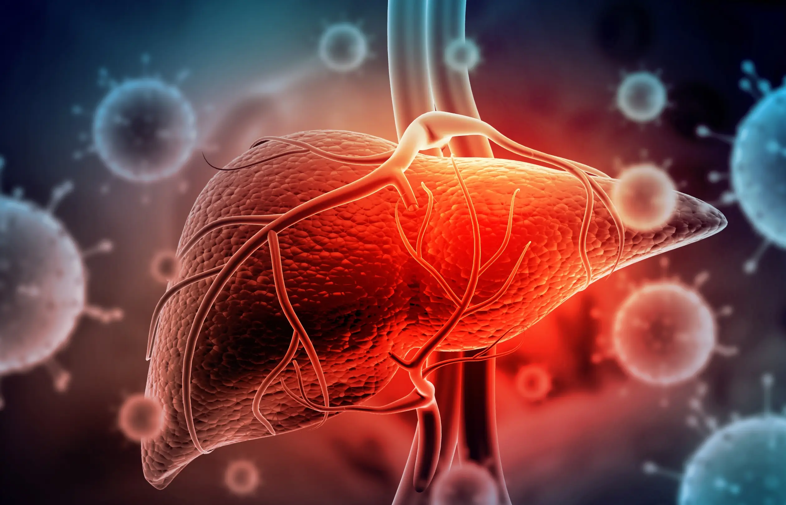 acute and chonic hepatitis disease definition