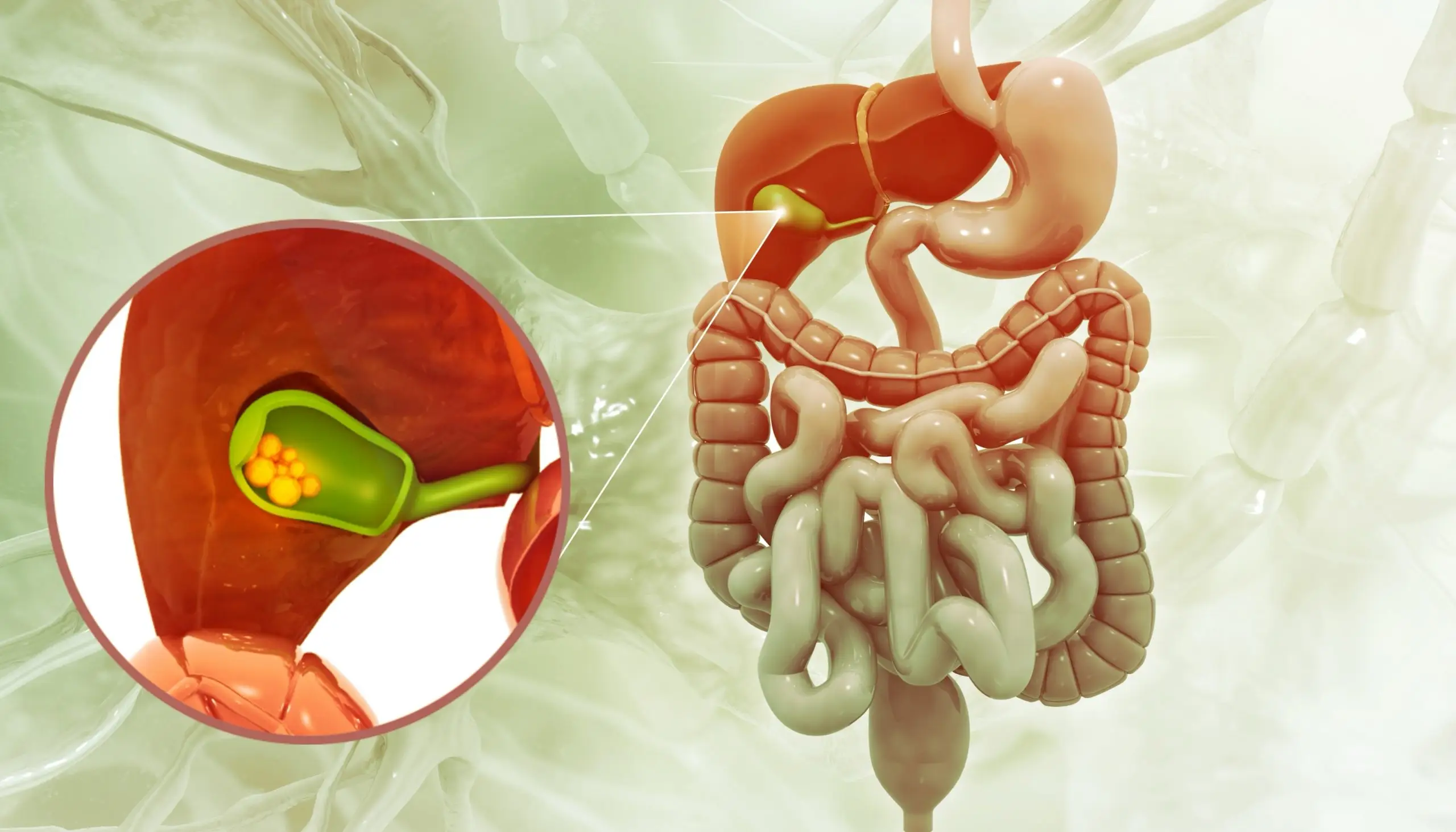 gallbladder bile duct disease faq scaled