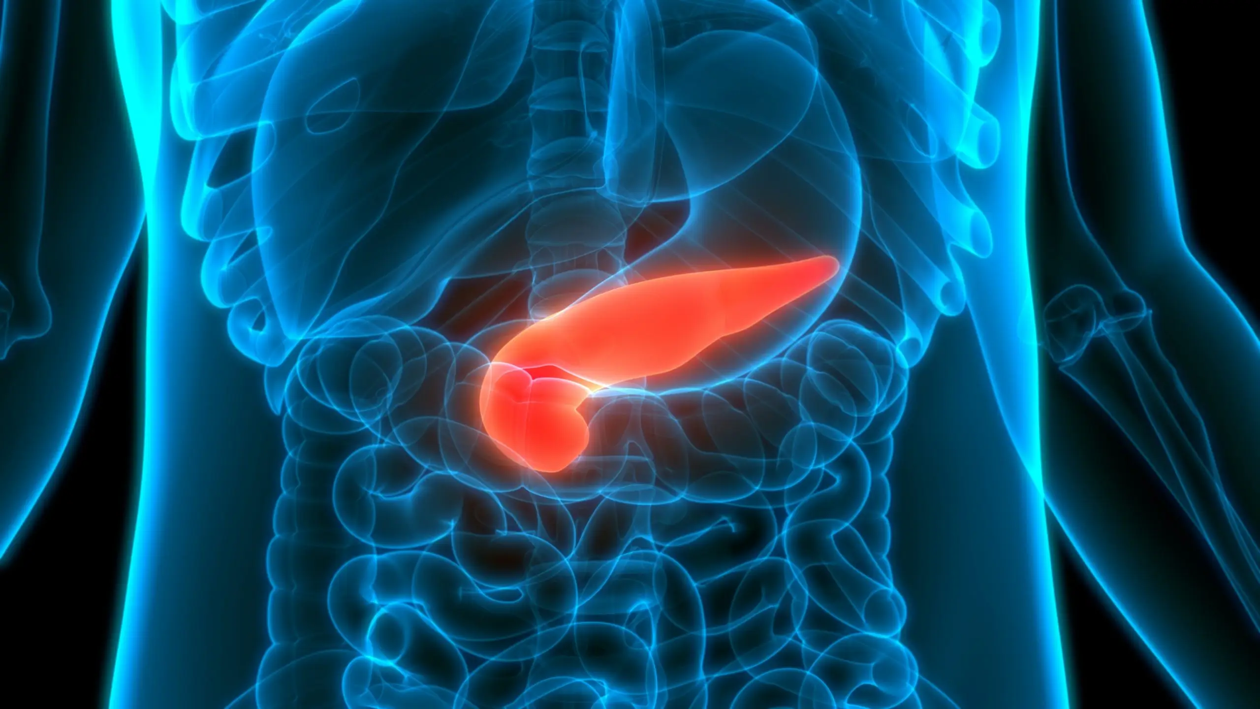 pancreas disease faq scaled