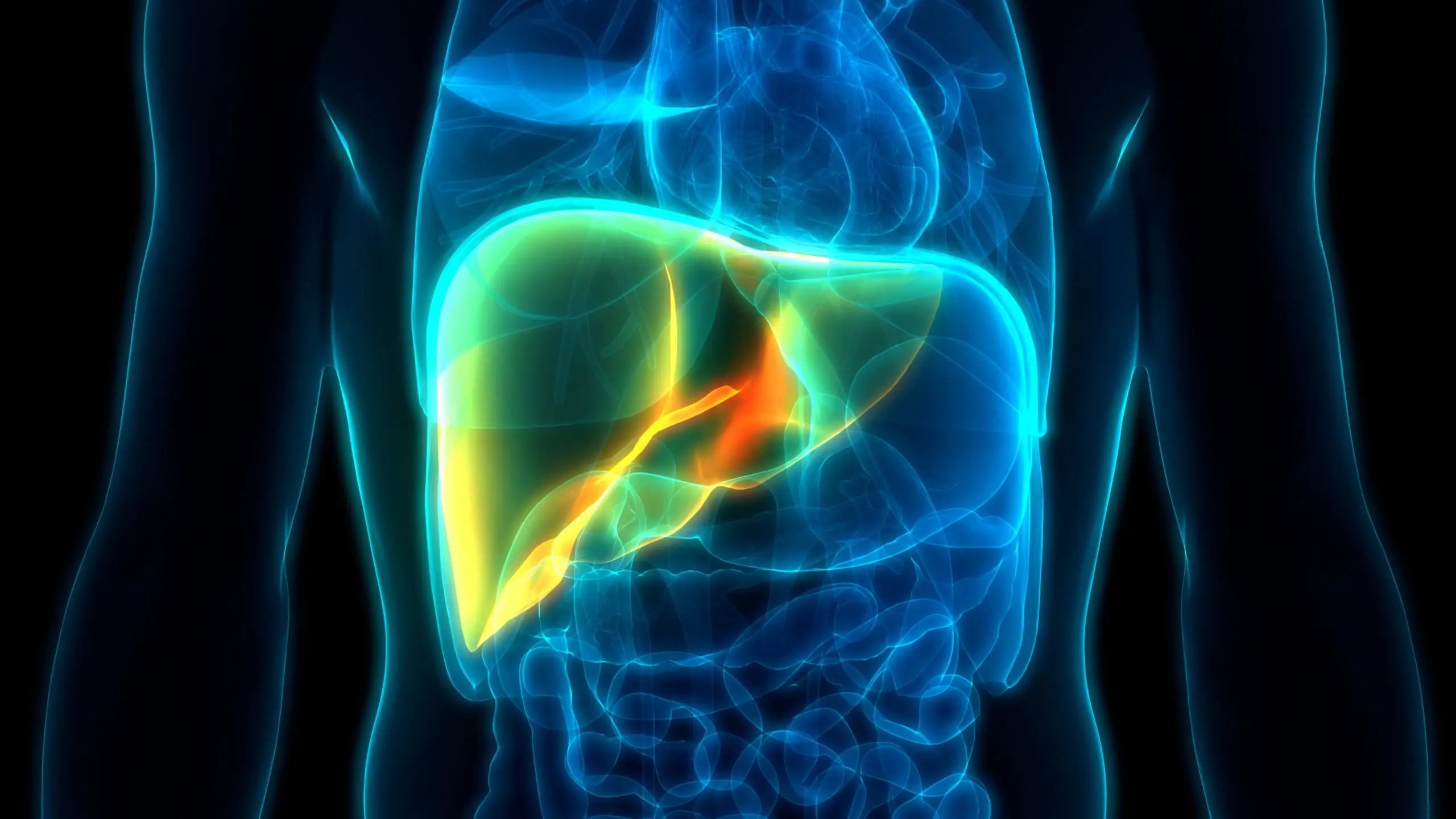 hepatitis a b and cirrhosis liver disease definition scaled