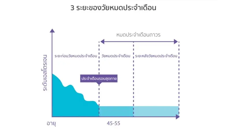3 ระยะของวัยหมดประจำเดือน โดย Yesmom