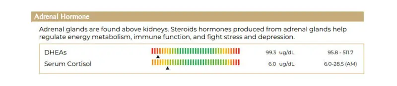 ผลการตรวจฮอร์โมน (Hormones)