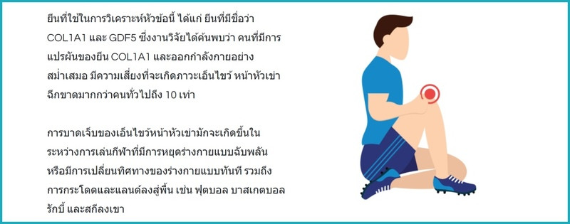content Geneus DNA 16