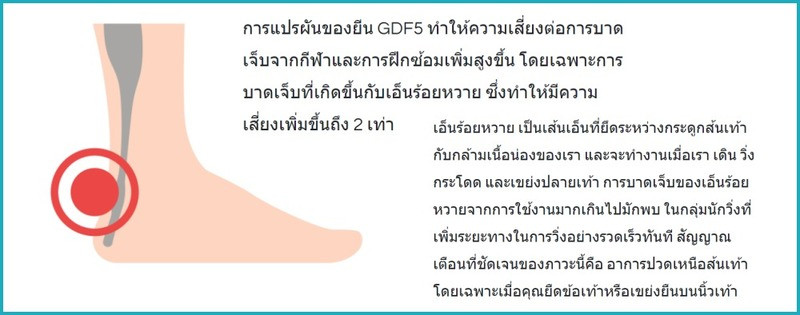 content Geneus DNA 17