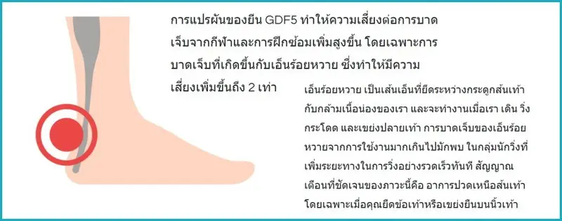 content Geneus DNA 17