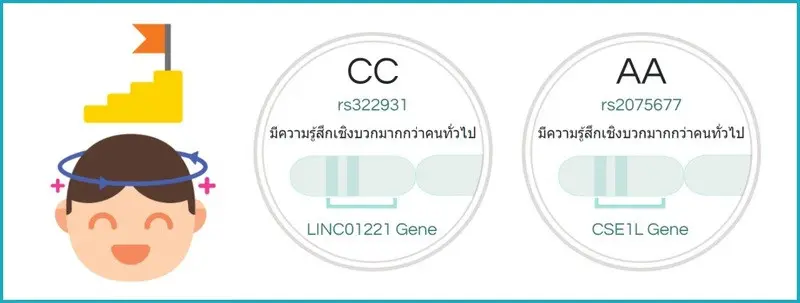 ความรู้สึกเชิงบวก (Positive Affect)