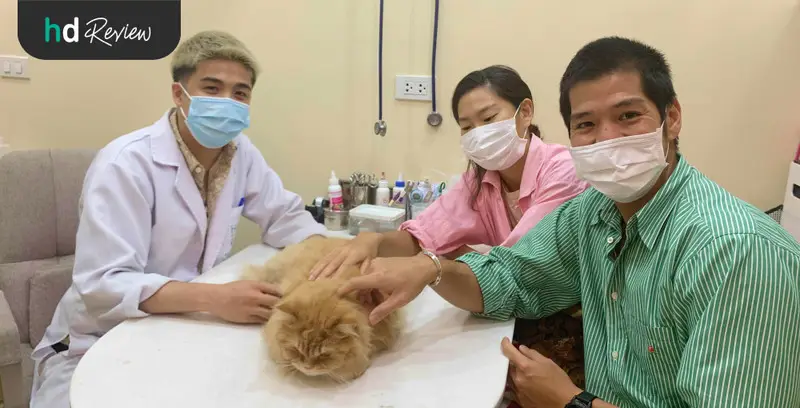 รีวิว ตรวจสุขภาพแมว ที่ Hato Pet Wellness