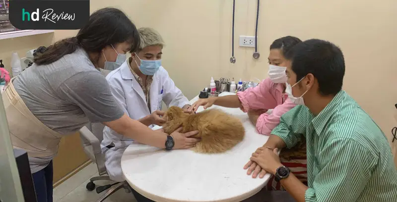 รีวิว ตรวจสุขภาพแมว ที่ Hato Pet Wellness