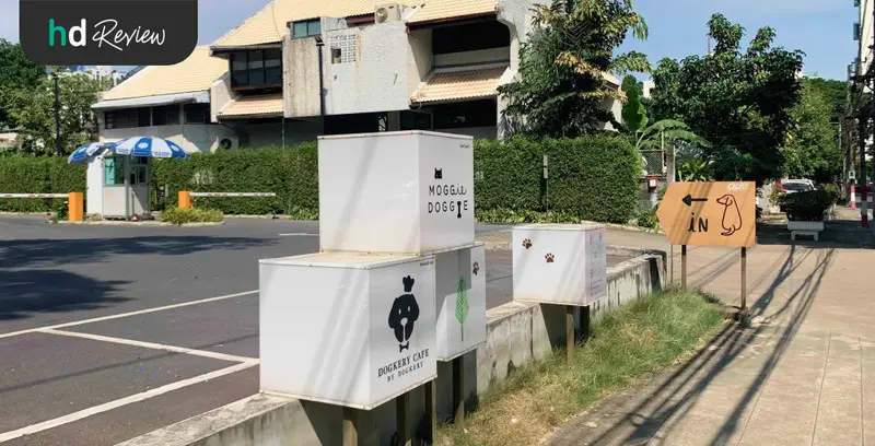 รีวิว ตรวจสุขภาพแมว ที่ Hato Pet Wellness