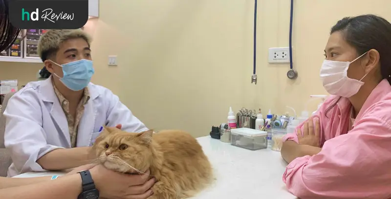 รีวิว ตรวจสุขภาพแมว ที่ Hato Pet Wellness