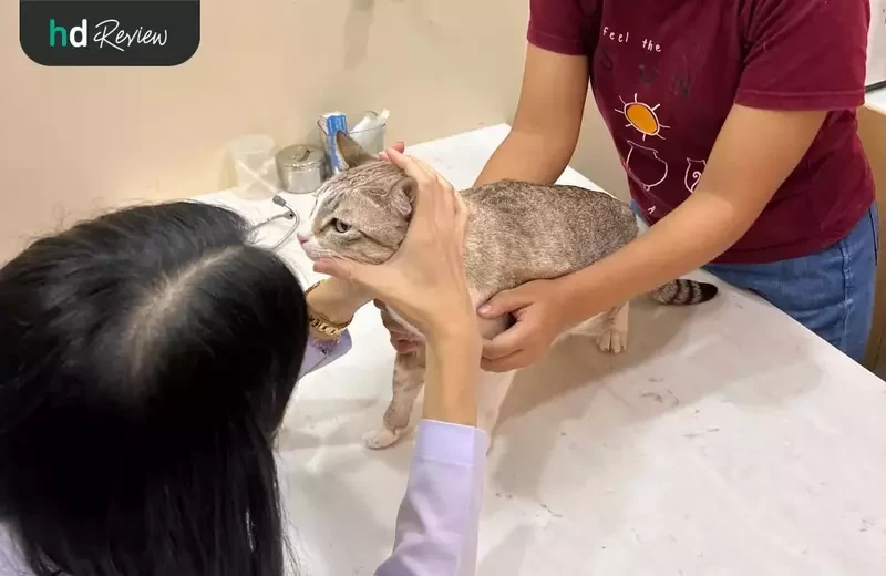 ภาพขั้นตอนการตรวจสุขภาพเบื้องต้น