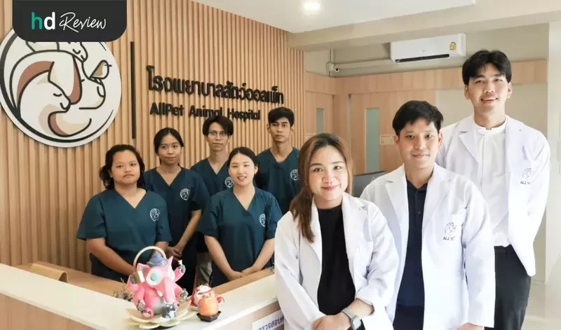 บรรยากาศ ที่ โรงพยาบาลสัตว์ออลเพ็ท