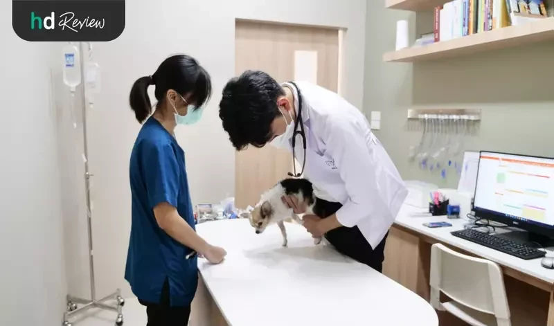 ห้องตรวจรักษาโรค ที่ โรงพยาบาลสัตว์ออลเพ็ท