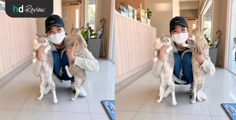 เจ้าของและแมวที่มาใช้บริการตรวจสุขภาพแมว ที่ Allpet Animal Hospital