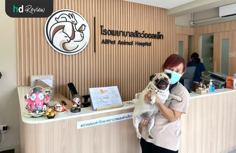 ผู้ใช้บริการตรวจสุขภาพสุนัข โปรแกรม Gold 14 รายการ ที่ All Pet Hospital