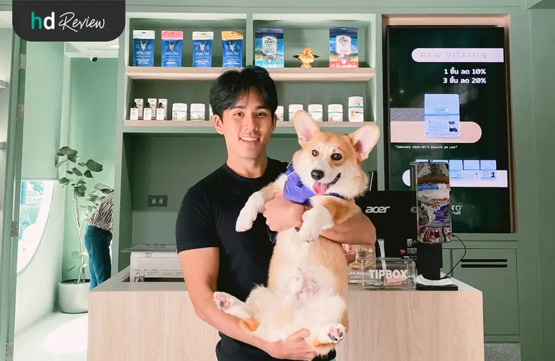 รีวิว อาบน้ำสุนัข ทำสปาสุนัข ที่ Hato Pet Wellness Center