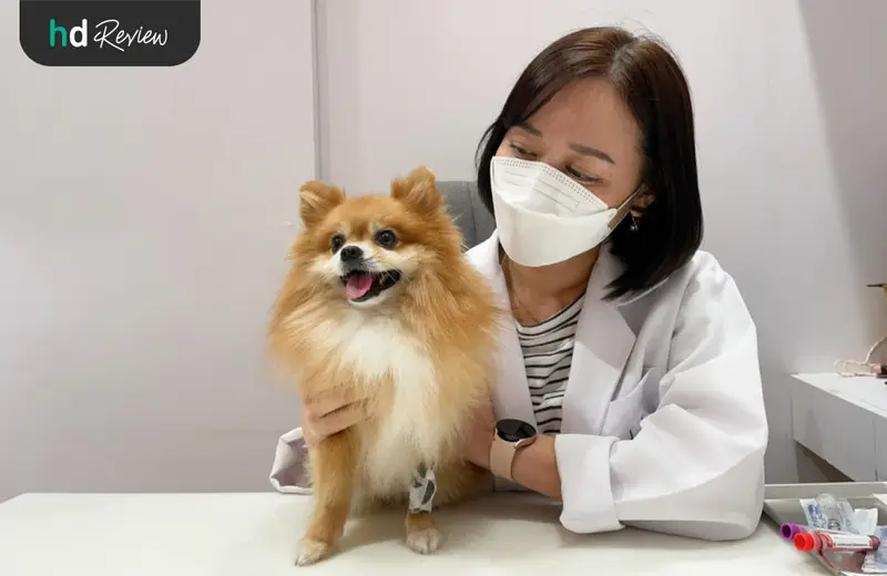 รีวิว ตรวจสุขภาพสุนัขประจำปี ที่ Hato Pet Wellness Center