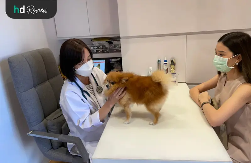 รีวิว ตรวจสุขภาพสุนัขประจำปี ที่ Hato Pet Wellness Center