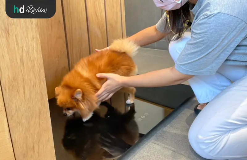 รีวิว ตรวจสุขภาพสุนัขประจำปี ที่ Hato Pet Wellness Center