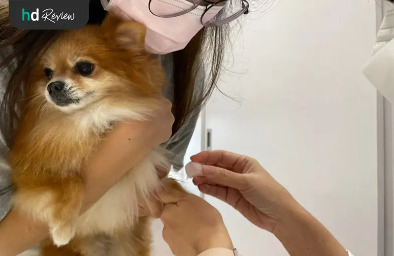 รีวิว ตรวจสุขภาพสุนัขประจำปี ที่ Hato Pet Wellness Center