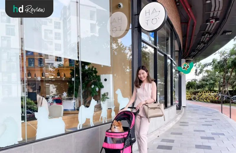 รีวิว ตรวจสุขภาพสุนัขประจำปี ที่ Hato Pet Wellness Center