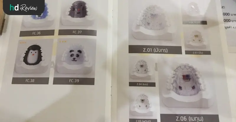 content review retainer wire at be bright dental clinic by jirarat sordsri 7