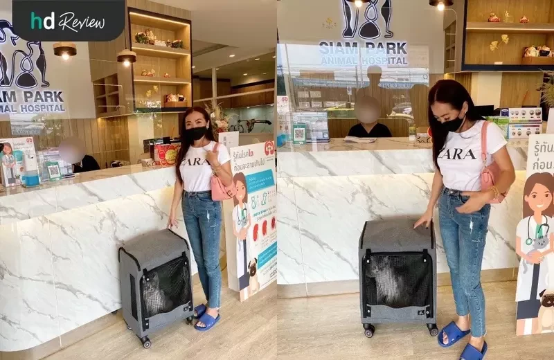 เจ้าของและน้องแมวที่มาใช้บริการทำหมันแมวตัวผู้ ที่ โรงพยาบาลสัตว์สวนสยาม
