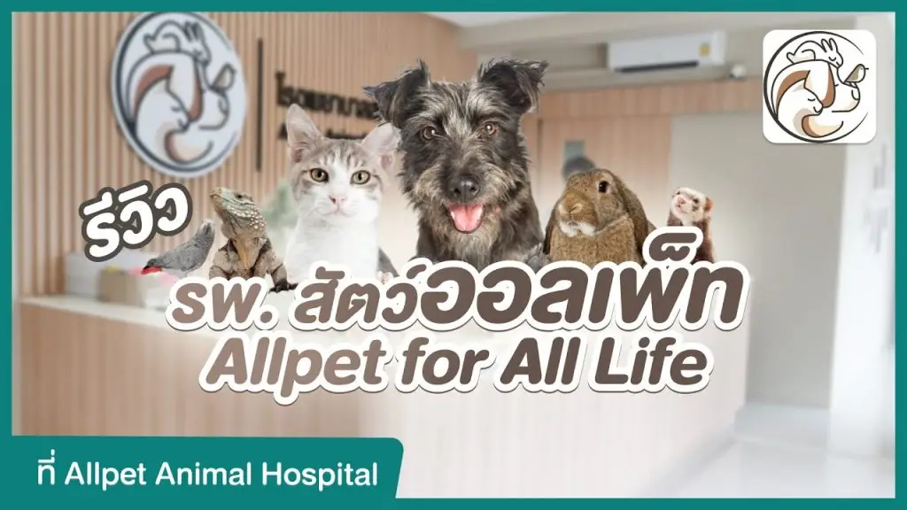 รีวิว โรงพยาบาลสัตว์ออลเพ็ท รักษา ค้างคืน ฝากเลี้ยง ครบจบในที่เดียว
