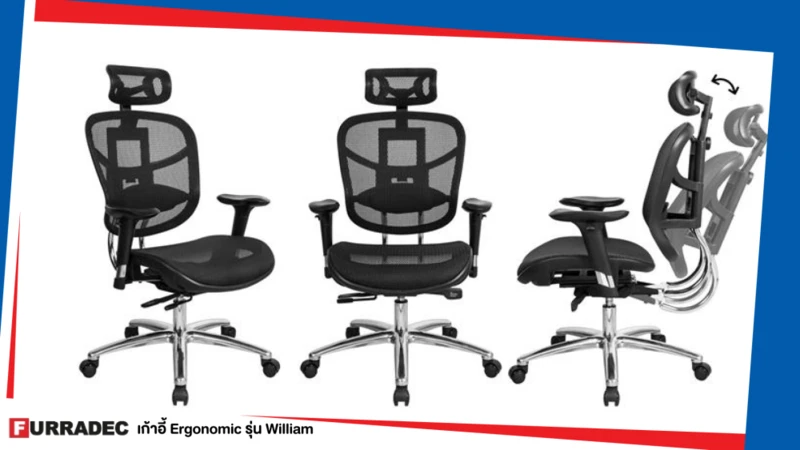 เก้าอี้เพื่อสุขภาพ Furradec Ergonomic รุ่น William