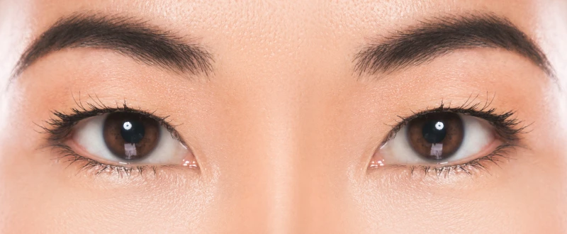 ใครไม่เหมาะกับการทำ Celeb Eyes?